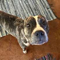 Thumbnail photo of MABEL #1