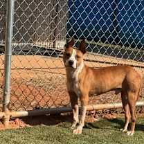 Thumbnail photo of SAUL #1