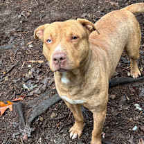 Thumbnail photo of O'Malley #3