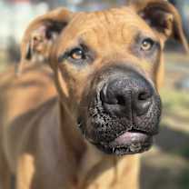 Thumbnail photo of Grayson #1