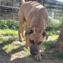 Thumbnail photo of Grayson #2