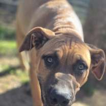 Thumbnail photo of Grayson #4