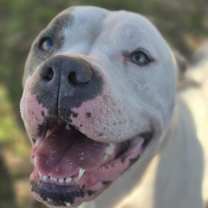 Thumbnail photo of Diamond #1