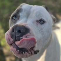 Thumbnail photo of Diamond #2