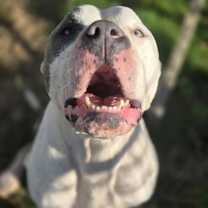 Thumbnail photo of Diamond #3