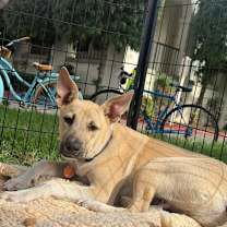 Thumbnail photo of Egbert #2