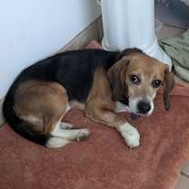 Thumbnail photo of Jack #2