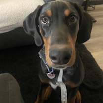 Thumbnail photo of Peanut #4