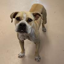 Thumbnail photo of Blair #1