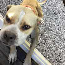 Thumbnail photo of Blair #2