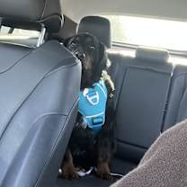 Thumbnail photo of Big #2