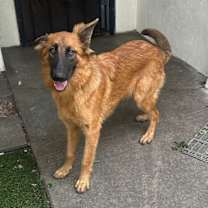 Thumbnail photo of Lightning #2