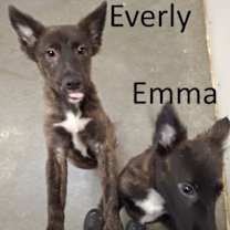 Thumbnail photo of Everly #2