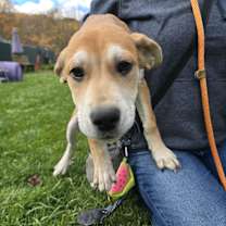 Thumbnail photo of Prince #2