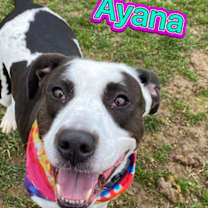 Thumbnail photo of Ayana #3