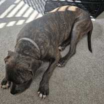 Thumbnail photo of Tubbs #2