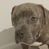 Thumbnail photo of Tubbs #1