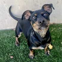 Thumbnail photo of Lumi #1