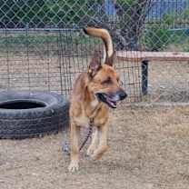 Thumbnail photo of Eldritch #2