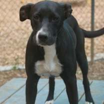 Thumbnail photo of Charisma 25 #2