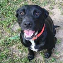 Thumbnail photo of Lilly 25 #4