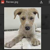 Thumbnail photo of Renee #1