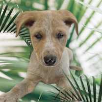 Thumbnail photo of Renee #2