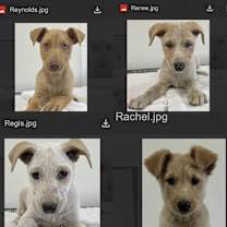 Thumbnail photo of Renee #3