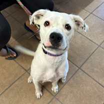 Thumbnail photo of Crystal #2