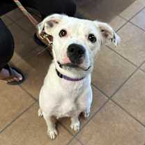 Thumbnail photo of Crystal #3