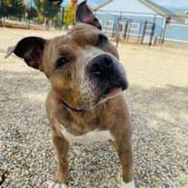 Thumbnail photo of Rubel #1