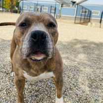 Thumbnail photo of Rubel #2