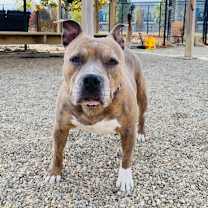 Thumbnail photo of Rubel #3