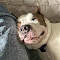 Thumbnail photo of Rock #4