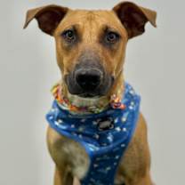 Thumbnail photo of Wasabi #1