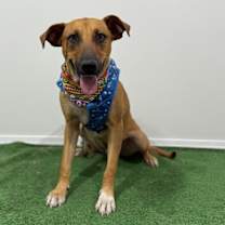 Thumbnail photo of Wasabi #2