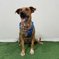 Thumbnail photo of Wasabi #4