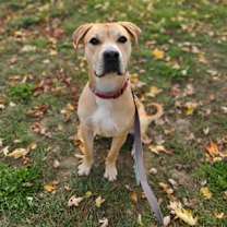 Thumbnail photo of Amos #2