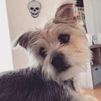 Thumbnail photo of Obi & Leah #3