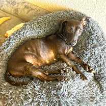 Thumbnail photo of Nascar  #1