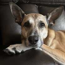 Thumbnail photo of Luna #1