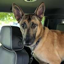 Thumbnail photo of Sadie FKA Crater in CO #4