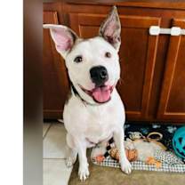 Thumbnail photo of NYLAH #2