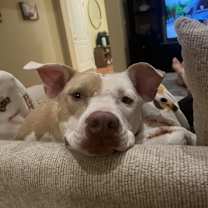 Thumbnail photo of Michelle #3