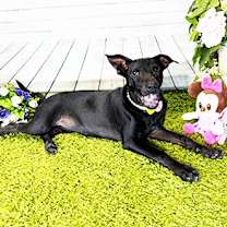 Thumbnail photo of JEANI #3