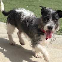 Thumbnail photo of Nelson #3