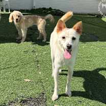 Thumbnail photo of Stella #3