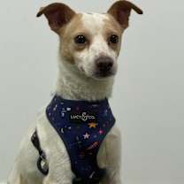 Thumbnail photo of Felipe #2