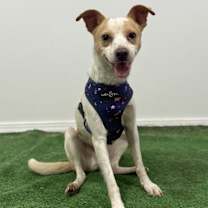 Thumbnail photo of Felipe #4