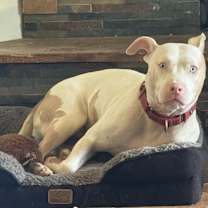 Thumbnail photo of Hope (MS) NEW PIC! #3